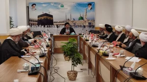 در نشست سرپرست حجاج ایرانی با نمایندگان بیوت مراجع مطرح شد؛

از بررسی فقهی مسائل مستحدثه قربانی در حج تا دعوت از حوزویان برای هم‌فکری درباره سفر زیارتی اربعین