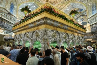 گل‌آرایی ضریح سیدالشهدا(ع) در آستانه میلاد پیامبر 3