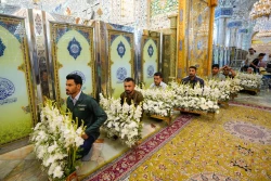 گل آرایی ضریح حضرت امیر مؤمنان علی (ع) به مناسبت میلاد پیامبر اکرم (ص)+تصاویر 2