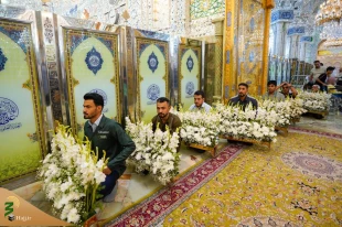 گل آرایی ضریح حضرت امیر مؤمنان علی (ع) به مناسبت میلاد پیامبر اکرم (ص)+تصاویر 2