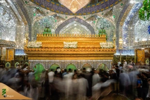 گل آرایی ضریح حضرت امیر مؤمنان علی (ع) به مناسبت میلاد پیامبر اکرم (ص)+تصاویر 2