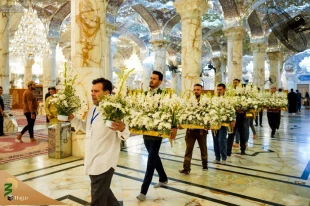 گل آرایی ضریح حضرت امیر مؤمنان علی (ع) به مناسبت میلاد پیامبر اکرم (ص)+تصاویر 2