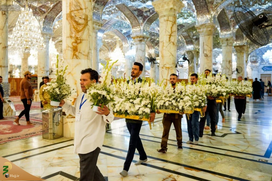 گل آرایی ضریح حضرت امیر مؤمنان علی (ع) به مناسبت میلاد پیامبر اکرم (ص)+تصاویر 2