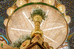 گل آرایی ضریح حضرت امیر مؤمنان علی (ع) به مناسبت میلاد پیامبر اکرم (ص)+تصاویر 2