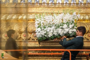 گل آرایی ضریح حضرت امیر مؤمنان علی (ع) به مناسبت میلاد پیامبر اکرم (ص)+تصاویر 2