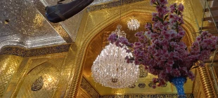 نصب کتیبه های سبز رنگ و تزیین با گل ضریح و صحن حرم مطهر حضرت عباس(ع) به مناسبت میلاد با سعادت پیامبر مهربانی ها 2