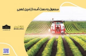 محصول به دست آمده از زمین غصبی