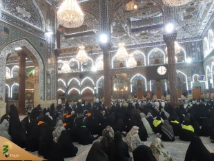 اعلام همدردی زائران و مجاوران حرم حسینی با مصیبت زدگان غزه
 2