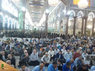اعلام همدردی زائران و مجاوران حرم حسینی با مصیبت زدگان غزه
 3