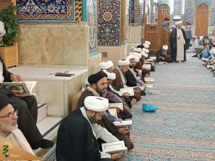 اعلام همدردی زائران و مجاوران حرم حسینی با مصیبت زدگان غزه
 5