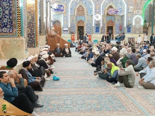 اعلام همدردی زائران و مجاوران حرم حسینی با مصیبت زدگان غزه
 11