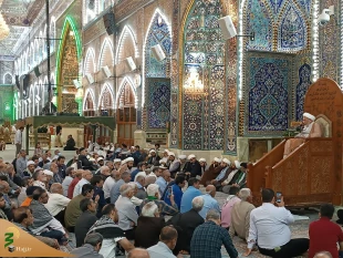 اعلام همدردی زائران و مجاوران حرم حسینی با مصیبت زدگان غزه
 12