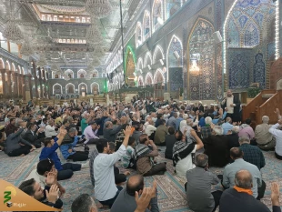 اعلام همدردی زائران و مجاوران حرم حسینی با مصیبت زدگان غزه
 14