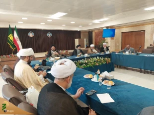 در نشست مسئولان و کارشناسان دفاتر نمایندگی بعثه در استانها؛

سرپرست حجاج ایرانی حملات ددمنشانه رژیم صهیونیستی به مردم مظلوم غزه را محکوم کرد 2