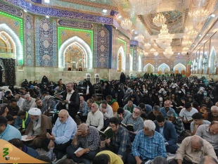 برگزاری دعای کمیل کربلای معلا 6