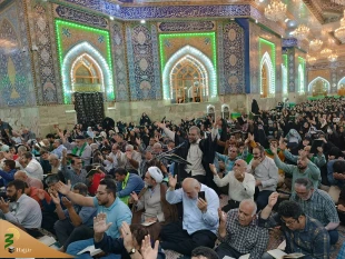 برگزاری دعای کمیل کربلای معلا 8