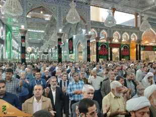 اهل بیت علیهم السلام، هدایت گران به سوی مقام رضای الهی هستند. 8