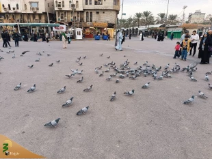 حال و هوای بازار و اصناف کربلا 4