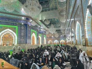 شور و شوق وصف ناشدنی زائران حسینی در دعای ندبه 14