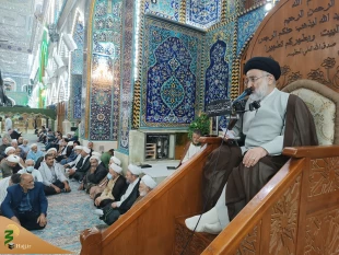 امام رضا علیه السلام: امام ستارۀ هدایت‌گر در تاریکی‌های گمراه کننده است 4