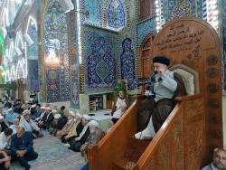 امام رضا علیه السلام: امام ستارۀ هدایت‌گر در تاریکی‌های گمراه کننده است 5
