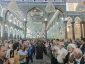 امام رضا علیه السلام: امام ستارۀ هدایت‌گر در تاریکی‌های گمراه کننده است 7