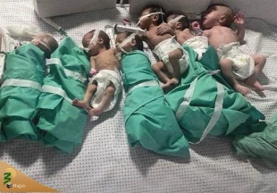 سی و هشتمین روز از طوفان الاقصی/ 11هزار و 180 فلسطینی از آغاز جنگ به شهادت رسیدند 3