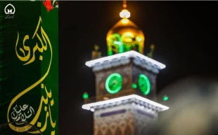 گل آرایی و تزئین آستان مطهر علوی به مناسبت میلاد حضرت زینب(ع)+عکس 6