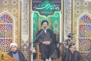 نماینده ولی فقیه در امور حج و زیارت:

فاطمه اطهر اسوه کامل و درس آموز برای تمامی انسانهاست 6