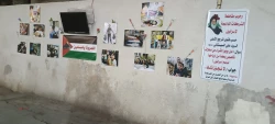 نمایشگاه عکس و کاریکاتور خیابانی در ابراز همدردی با مردم غزه در کربلای معلی+گزارش تصویری 6
