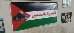 نمایشگاه عکس و کاریکاتور خیابانی در ابراز همدردی با مردم غزه در کربلای معلی+گزارش تصویری 8