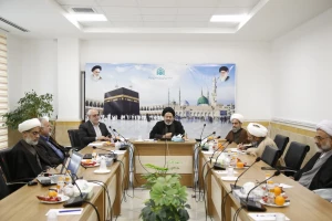 در نشست هم‌افزایی نمایندگان بیوت مراجع تقلید تشریح شد؛

آخرین دستاوردهای پزشکی درباره استطاعت زائر برای تشرف به حج تمتع