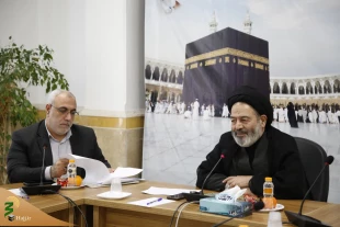 در نشست هم‌افزایی نمایندگان بیوت مراجع تقلید تشریح شد؛

آخرین دستاوردهای پزشکی درباره استطاعت زائر برای تشرف به حج تمتع 3