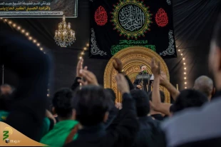 حرم حضرت عباس (ع) در عزای ام‌البنین 6