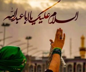 درجه قابل تأمل زائر سیدالشهدا(ع)