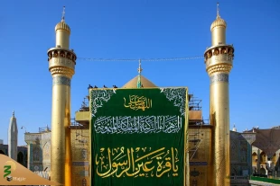 گل آرایی حرم امام علی (ع) به مناسبت میلاد حضرت زهرا (س) 6