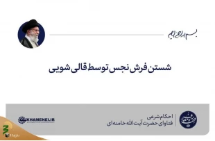 شستن فرش نجس توسط قالی‌شویی 2