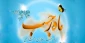 ماه رجب و نزول رحمت الهی 2