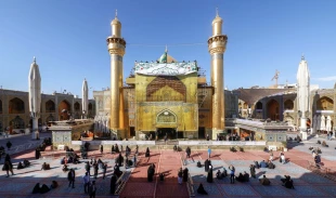 حرم علوی به استقبال جشن میلاد امام علی(ع) رفت 7