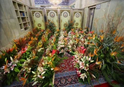 گل آرایی و آذین بندی حرم سیدالشهداء (ع) در آستانه میلاد امیر مؤمنان (ع) 4