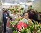 گل آرایی و آذین بندی حرم سیدالشهداء (ع) در آستانه میلاد امیر مؤمنان (ع) 8