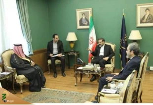 در دیدار اسماعیلی و بن سعود العنزی مطرح شد؛

وزیر فرهنگ و ارشاد اسلامی خواستار حل مشکل سفرعمره شد 2