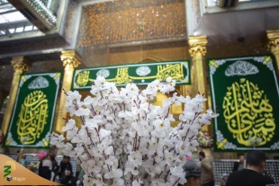 گل آرایی حرم مطهر حضرت عباس (ع) 2