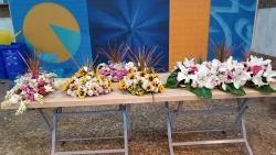 25000 شاخه گل