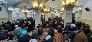 همزمان با ایام ولادت امام زمان؛
زمزمه دعای ندبه زائران ایرانی در نجف اشرف طنین انداز شد 3