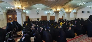 همزمان با ایام ولادت امام زمان؛
زمزمه دعای ندبه زائران ایرانی در نجف اشرف طنین انداز شد 9