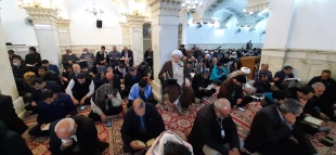 همزمان با ایام ولادت امام زمان؛
زمزمه دعای ندبه زائران ایرانی در نجف اشرف طنین انداز شد 13