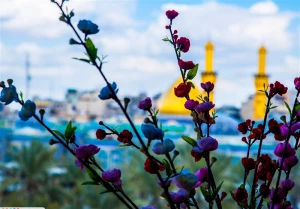 آغاز اعزام های رمضان و نوروزی به عتبات از 23 اسفند ماه

