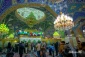 جشن ولادت حضرت رقیه سلام الله علیها در سوریه 8