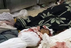 ۸۳ فلسطینی طی ۲۴ ساعت گذشته به شهادت رسیدند